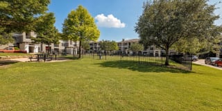 Ascent North Gallery 40