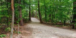 Halstead Burke Gallery 14