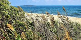 1000 Rambler Road Gallery 26