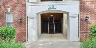 42481 ROCKROSE Square Gallery 1