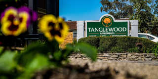 Tanglewood Apartments Gallery 18