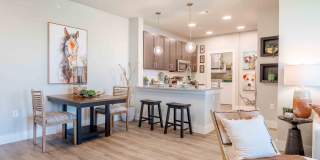 Sendero Trace Gallery 15