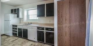 Beautiful One-Bedroom Apartment with Washer/Dryer Near CSU! Gallery 12