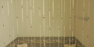 901 PINE FOREST Lane unit: 2001 Gallery 31