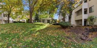 Peaks on Pines Gallery 22