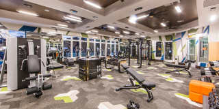 Valentia by Windsor Gallery 28