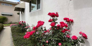 Villa Constance South Condo Gallery 14