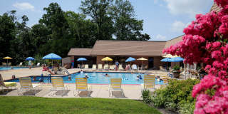 Delaire Landing Gallery 28