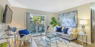 Allegria at Roseville Gallery 2