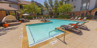 Carrara at Cole Gallery 5