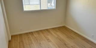 Maple 2 Gallery 38