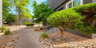 River Rock Apartments Gallery 15