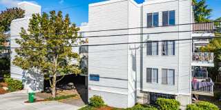 Olympic View Apartments Gallery 1