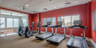 Cortland on South Eads Gallery 19