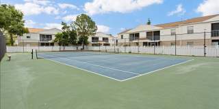 Spacious 4 Bed Condo Gallery 32