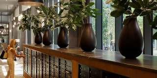 The Juniper & The Reserve at Juniper Gallery 31