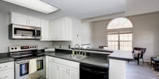 921 HILLSIDE LAKE TER #304 Gallery 5