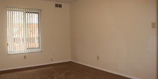 TRENT 543 Gallery 11