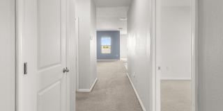 3017 Blue Shores Way Gallery 10