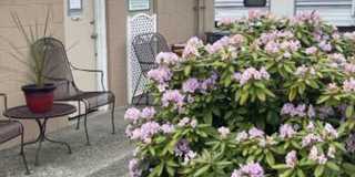 Single Wide Mobile Home Available- Now Leasing! Gallery 61