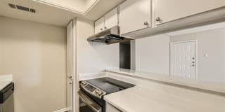 Rise Spring Pointe Gallery 154