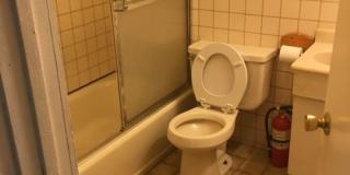 Great Sunny 3 Bed w/ Yard! Gallery 4