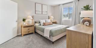 Polo Club Apartments Gallery 6