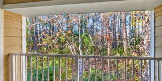 8188 CABIN LAKE Circle Gallery 19