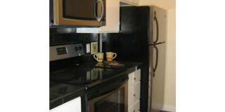 1 Bedroom Condo in the Heart of Austin Gallery 6