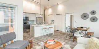 Janus Janus Gallery 2