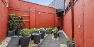 3303 WATER Street NW Gallery 38