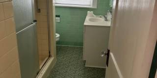 127 University Boulevard - Lower Gallery 5
