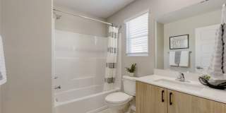 911 Cadence View Way Gallery 13