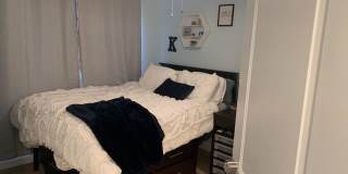 1609 Sydenham Gallery 35