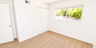 Large 6 Bedroom - Huge Yard - Students Welcome Gallery 12