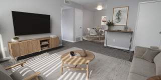 The Canopy Gallery 1