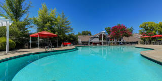 Lake Pointe Apartments Gallery 31