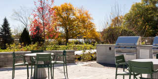 The Basin Gallery 62