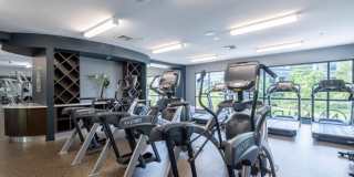 Mira Upper Rock Gallery 67