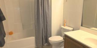 Firewood/ 3 Bedroom Furnished Gallery 7