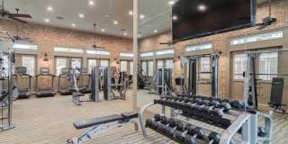 Southfork Lake Gallery 21