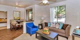 Ventura Vista Gallery 10