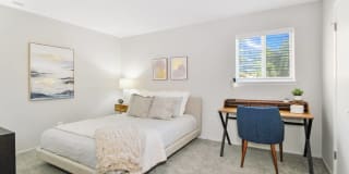 The Maxwell Gallery 26