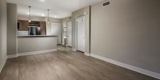 The Madison at Town Center Gallery 23