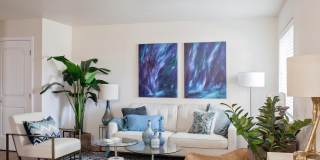 Millennium Park Gallery 14