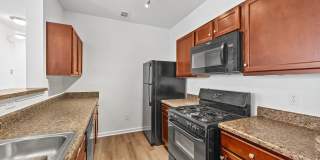 Avana Lexington Gallery 35