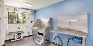 Waterford Place Gallery 41