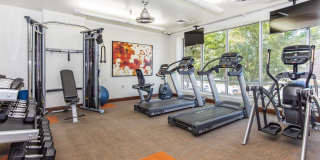 Seasons at Library Square Gallery 8