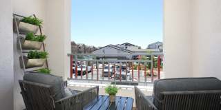 The Strand Gallery 53