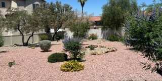 6940 Canary Ivy Way Gallery 25